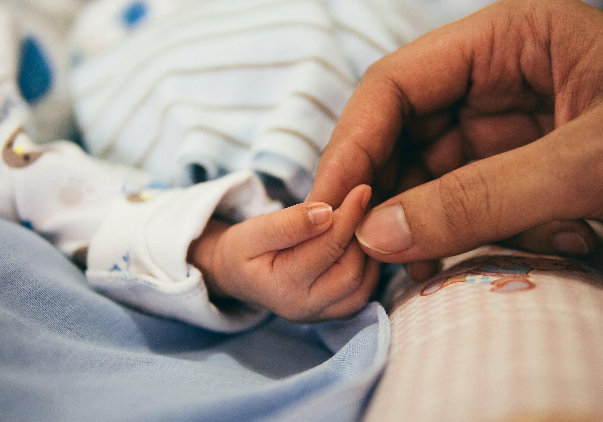 aditya-romansa-5zp0jym2w9M-unsplash aditya-romansa-5zp0jym2w9M-unsplash